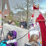 Sinterklaas paard