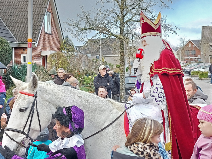Sinterklaas paard