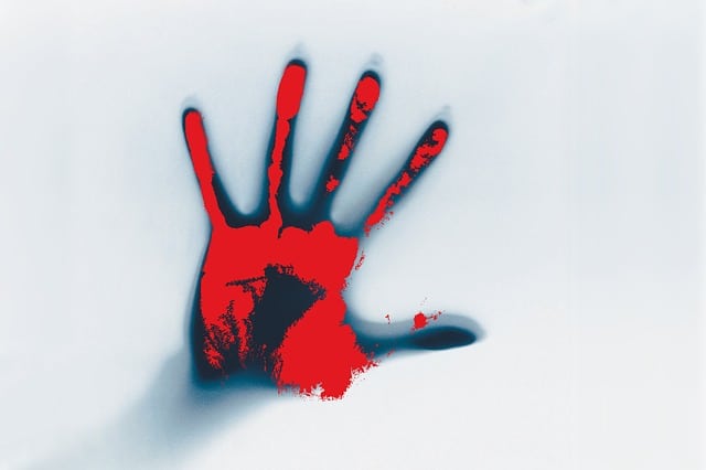 hand bloed pixabay