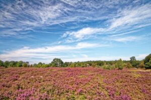 hei natuur