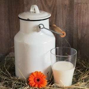 melk glas melkbus pixabay