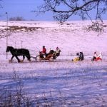 sneeuw arrenslee slee winter paard pixabay
