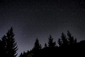 sterren bomen nacht pixabay