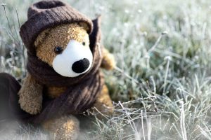 teddybeer muts knuffel sjaal