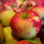 appel recept oud en nieuw pixabay