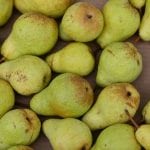 peren pixabay recept