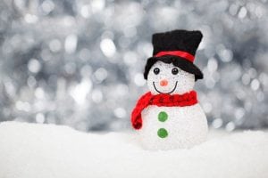 sneeuwpop hoed wortel sjaal pixabay