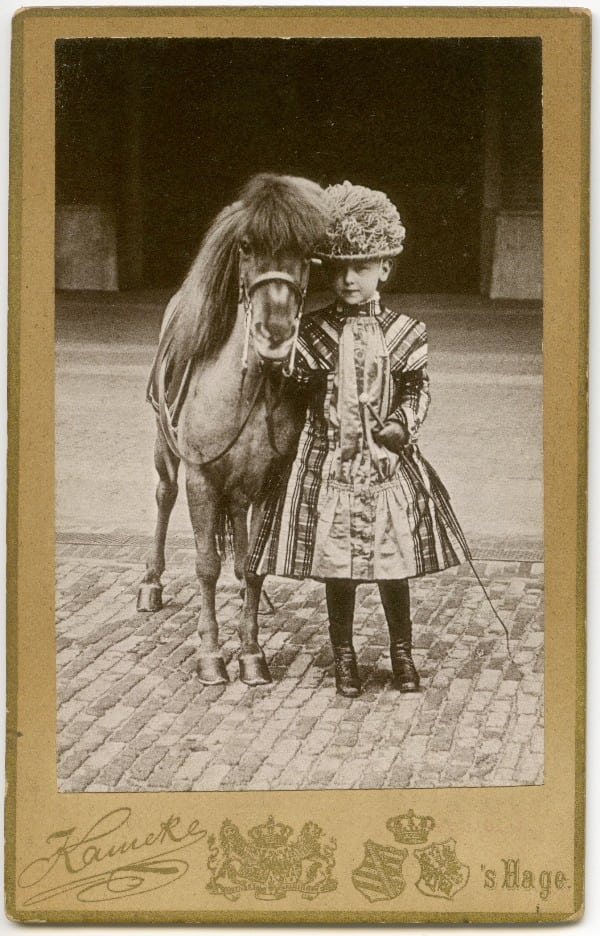 Wilhelmina pony Bruikleen GVON, foto Paleis Het Loo