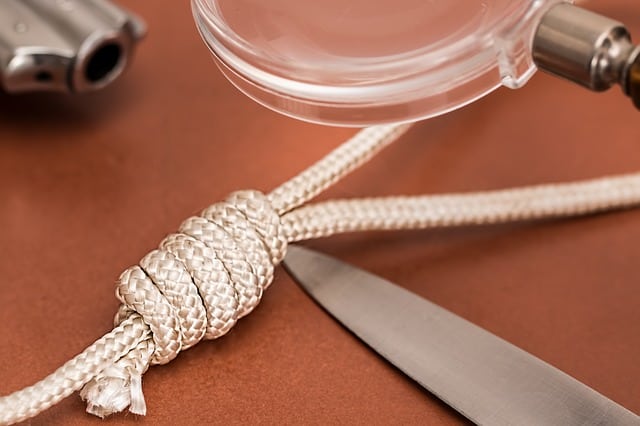 touw vergrootglas detective pixabay