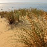 duin gras zee pixabay