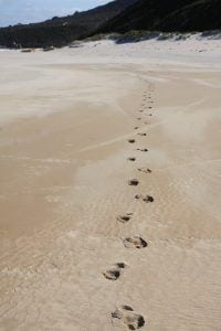 voetstappen zand strand