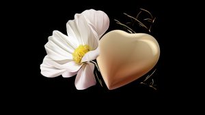 gouden hart bloem liefde