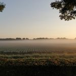 polder mist weiland Nederland