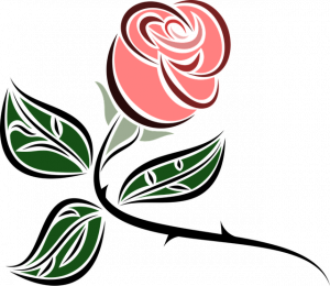 roos doorn tekening