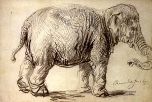 Rembrandt olifant