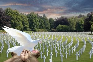 vrede duif hand begraafplaats graf