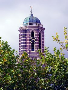 peperbus zwolle kerktoren