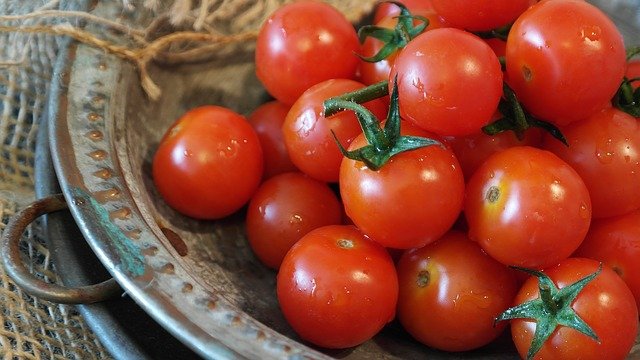 tomaat cherrytomaat groente eten