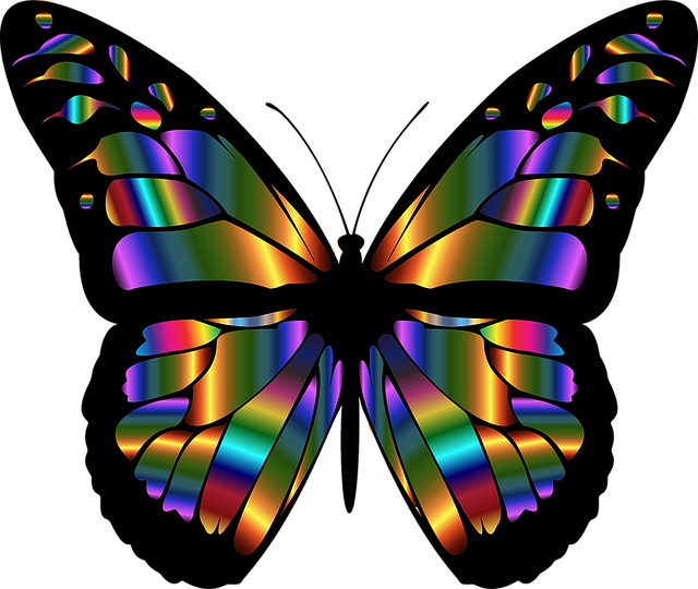vlinder dier kleuren