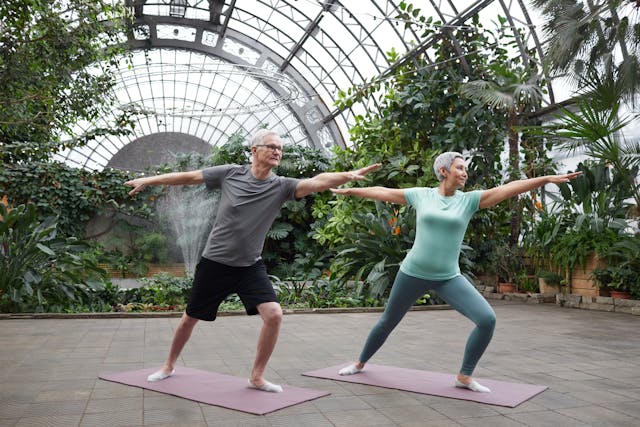 yoga ouderen