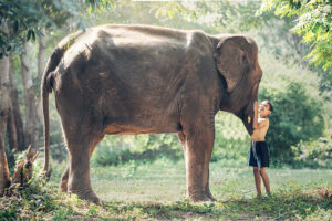 olifant jongen