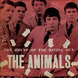 animals cover