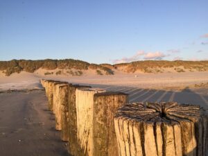 strand ameland